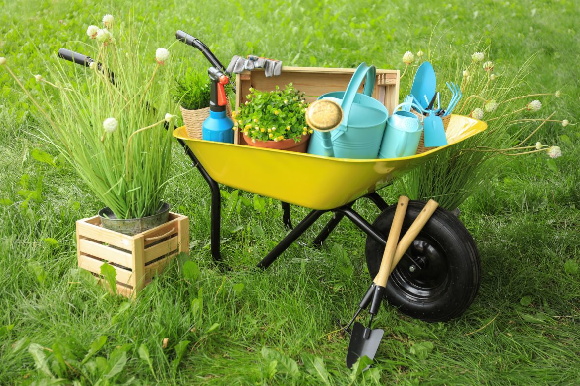 outils de jardin sur du gazon