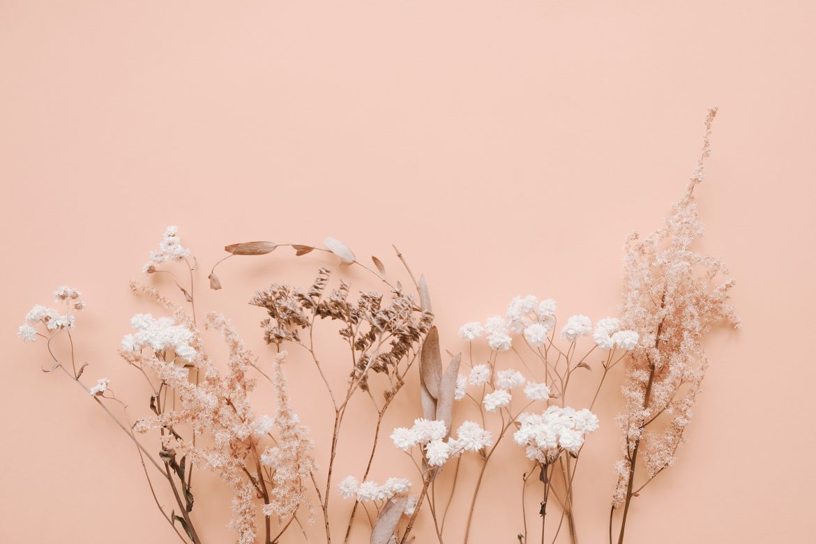fleurs séchées
